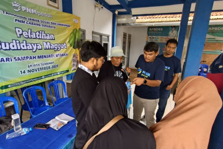 PNM dorong ekonomi hijau lewat TJSL budidaya maggot di Sumenep