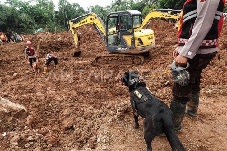 Foto: Pencarian korban longsor gunakan anjing pelacak