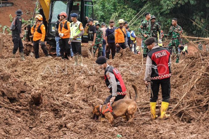 Foto: Pencarian korban longsor gunakan anjing pelacak