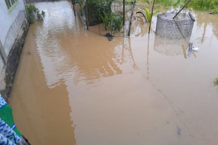Dua desa di Aceh Jaya terendam banjir akibat hujan deras