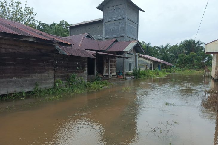 BPBA: 2.591 jiwa terdampak banjir di Aceh Singkil