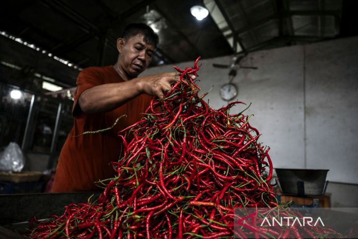Kenaikan harga cabai merah, kacang panjang dan bawang merah picu inflasi Jateng