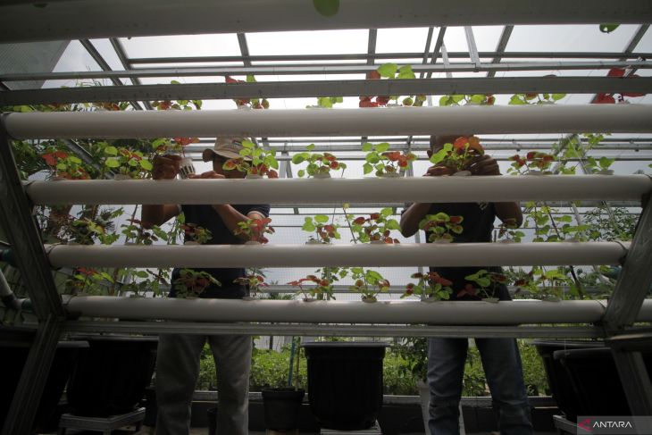 Program ketahanan pangan warga binaan