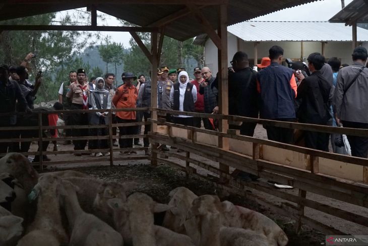 Gubernur Jawa Timur tinjau Huntara Trenggalek