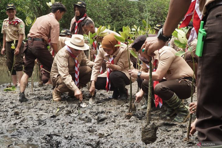Aksi tanam mangrove Gubernur Jatim di Trenggalek