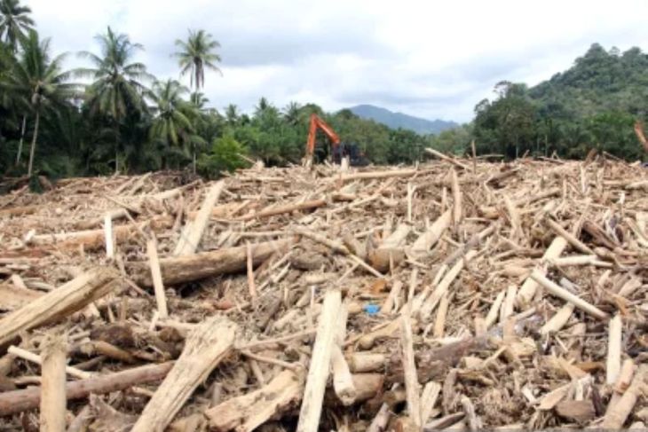 Kayu gelondongan banjir Sumatera libatkan manusia, sebut Guru Besar IPB