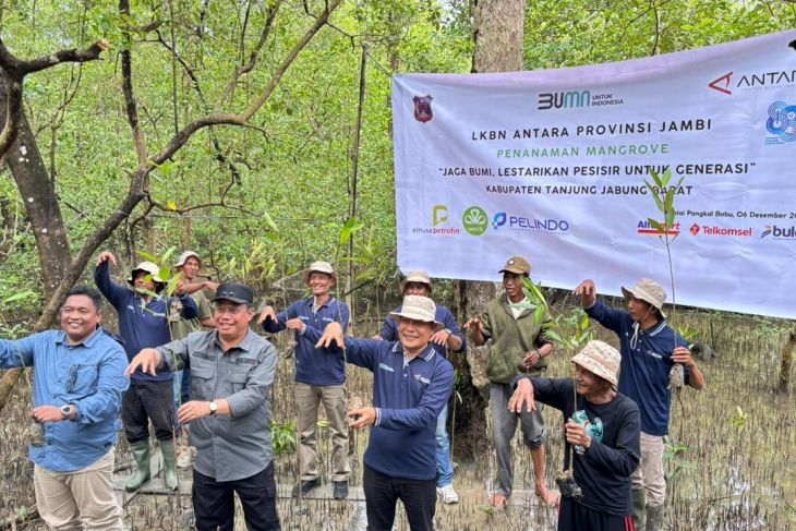 Antara Jambi Tanam Mangrove