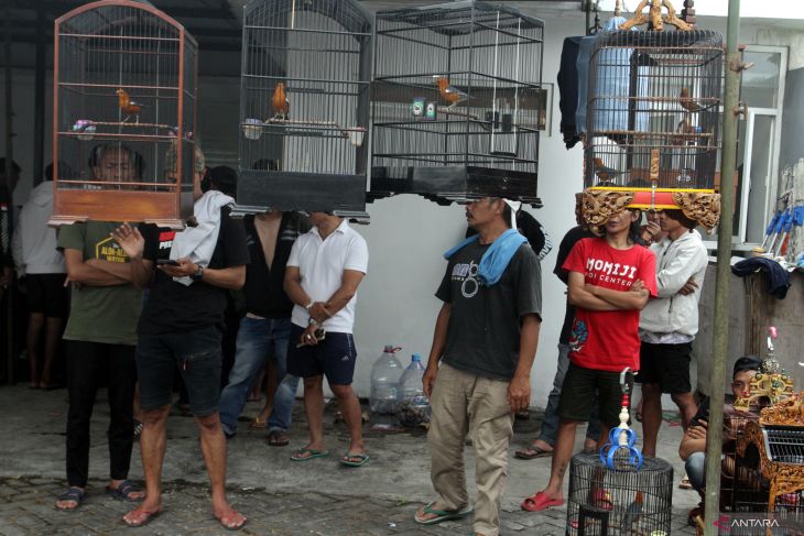 Lomba burung berkicau di Malang