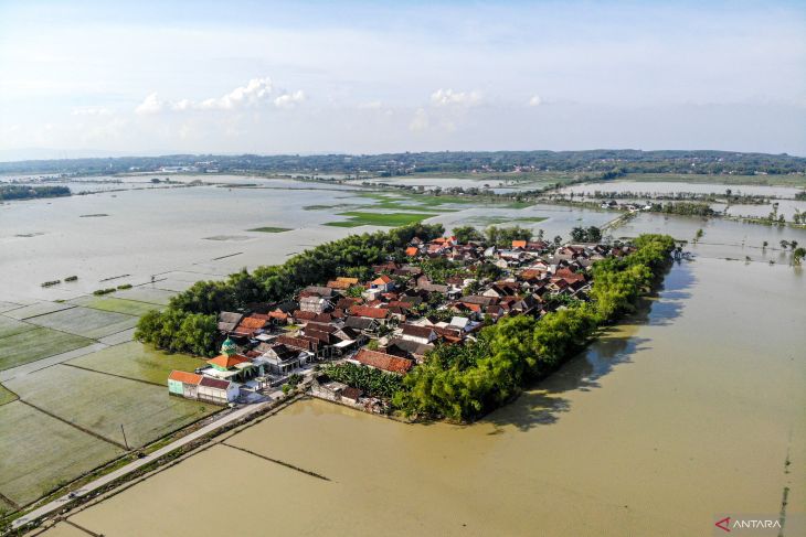 Lahan pertanian terendam banjir di Lamongan