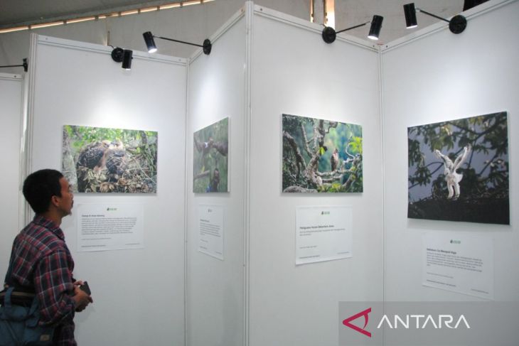 Pameran Fotografi Elang Jawa dan Konservasi Spesies Penting Jawa di Kota Bogor