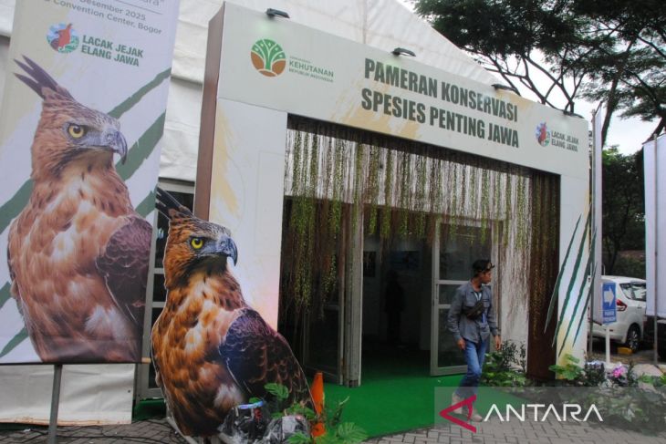 Pameran Fotografi Elang Jawa dan Konservasi Spesies Penting Jawa di Kota Bogor
