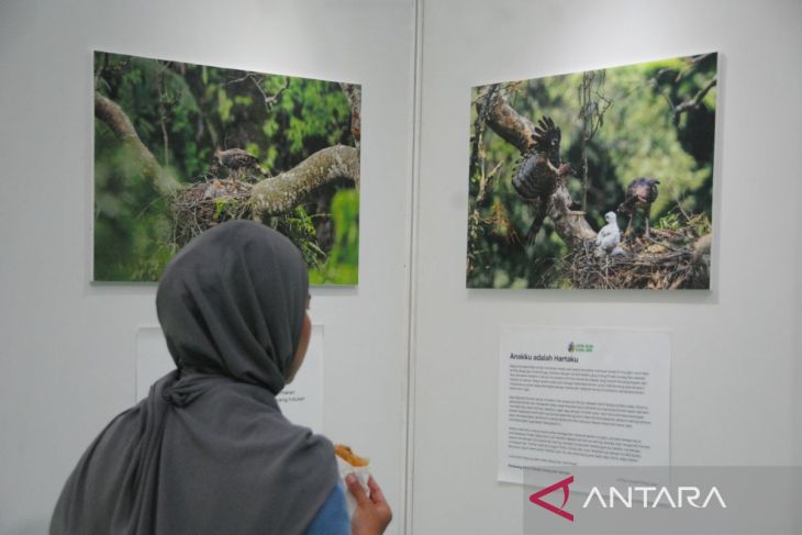 Pameran Fotografi Elang Jawa dan Konservasi Spesies Penting Jawa di Kota Bogor