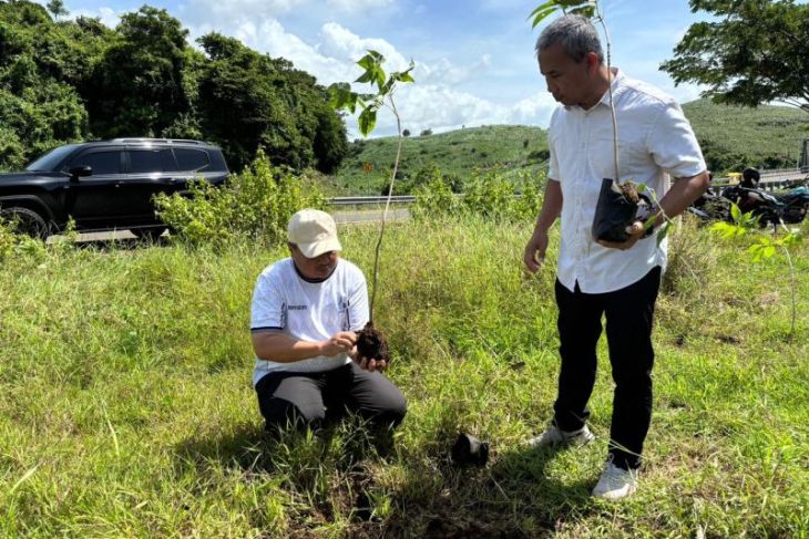 Pemkab gandeng dunia usaha tanam ribuan pohon di JLS Blitar