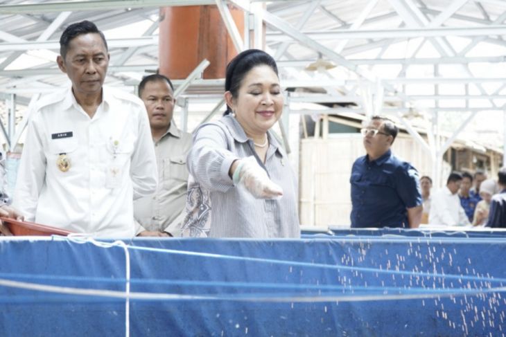 DPR salurkan bantuan sarana budidaya ikan dan alsintan bagi Bantul