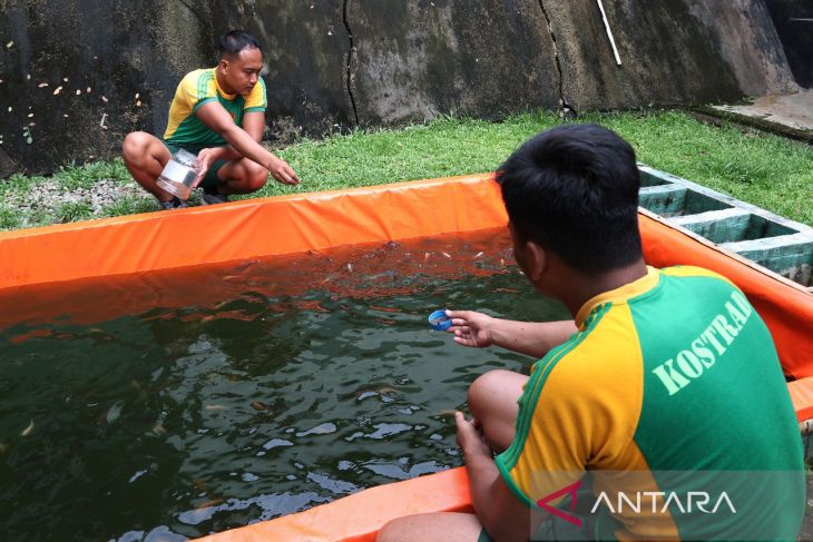 Satgas Pamtas Kostrad wujudkan ketahanan pangan mandiri