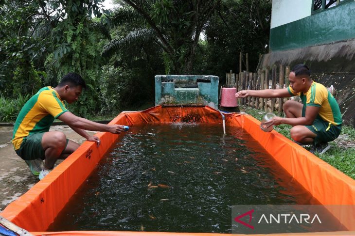 Satgas Pamtas Kostrad wujudkan ketahanan pangan mandiri