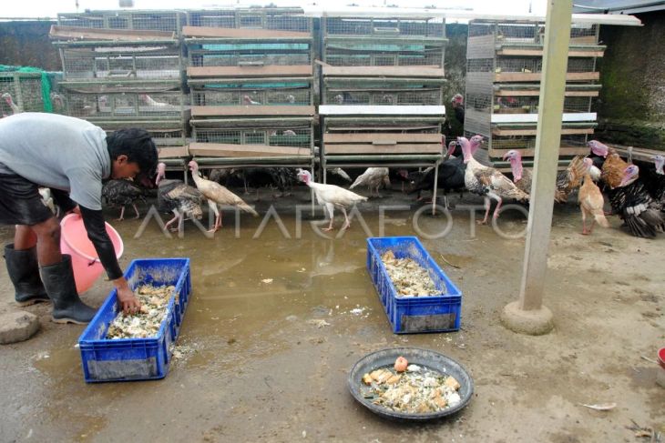 SPPG dengan konsep bebas sampah di Bogor