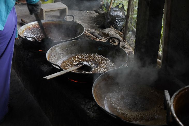 Reforma Agraria Bangkitkan Kemandirian Ekonomi Desa Hargorejo di Kulon Progo