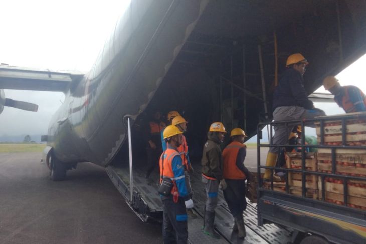 Dinas Pangan fasilitasi angkutan sayur-mayur daerah bencana Aceh lewat udara