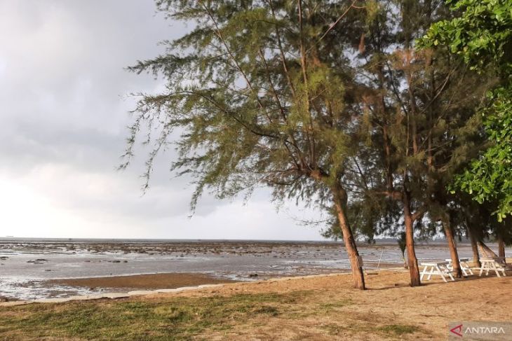 Bintan tetapkan status siaga darurat bencana