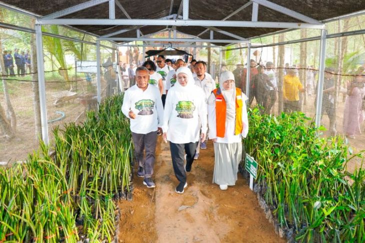 Pemprov Jatim dorong hilirisasi mangrove dan ekonomi rendah karbon