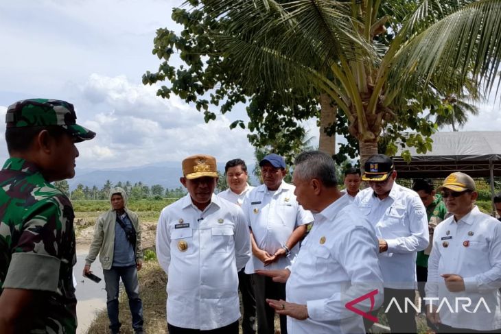 Lokasi lahan cetak sawah baru di Sigi siap tanam