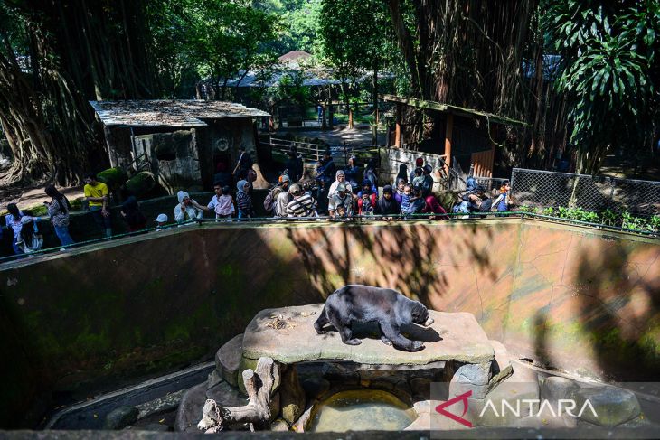 Kebun Binatang Bandung dibuka gratis saat libur Natal