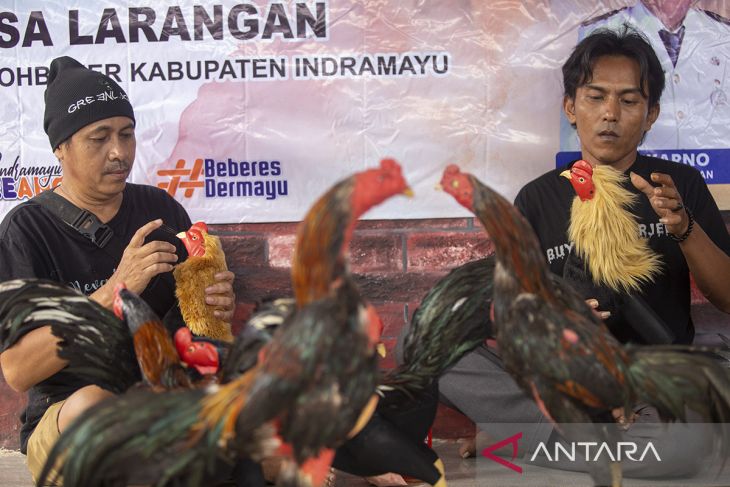 Pelatihan pembuatan boneka ayam