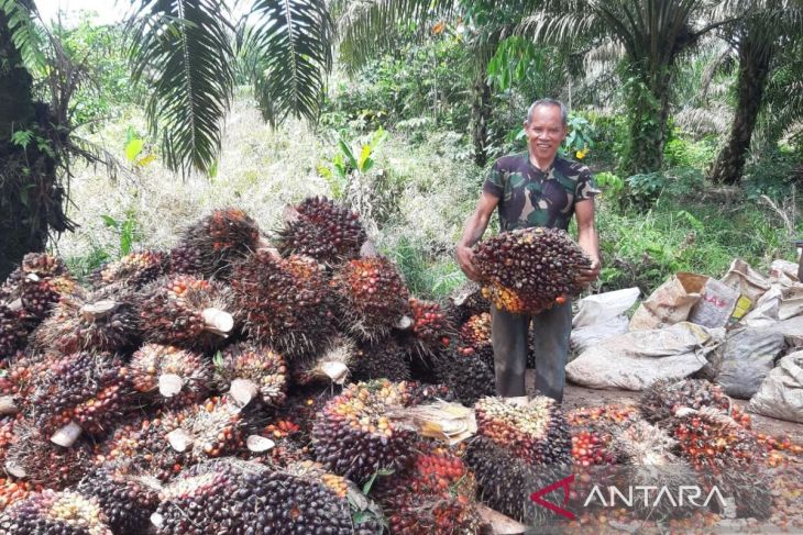 Kubu Raya tetapkan UMK 2026 naik 7,7 persen dari tahun lalu