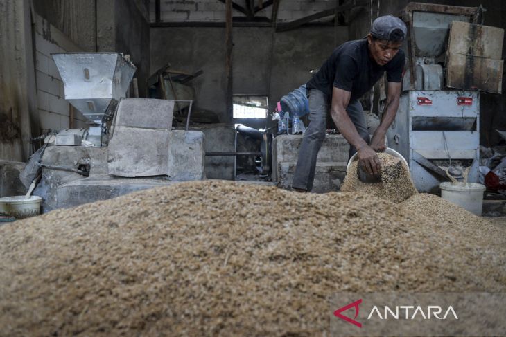 Bulog lanjutkan kebijakan pembelian gabah satu harga