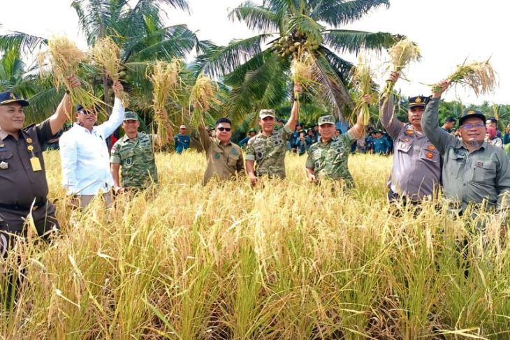 Danrem 121/Abw hadiri syukuran swasembada pangan dan panen raya di Sambas