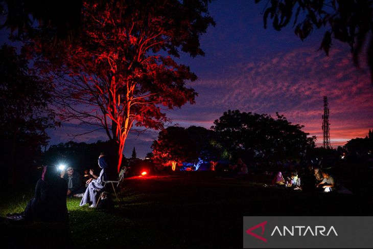 Pertunjukan video mapping Pohon Mendongeng