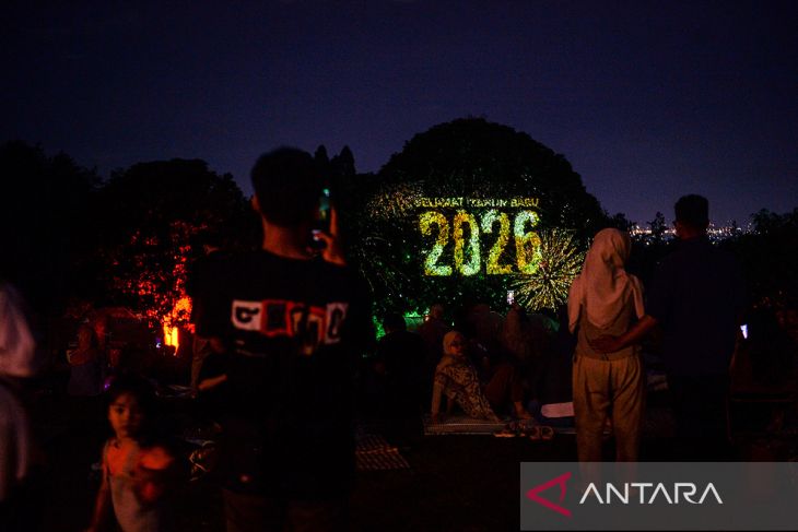 Pertunjukan video mapping Pohon Mendongeng