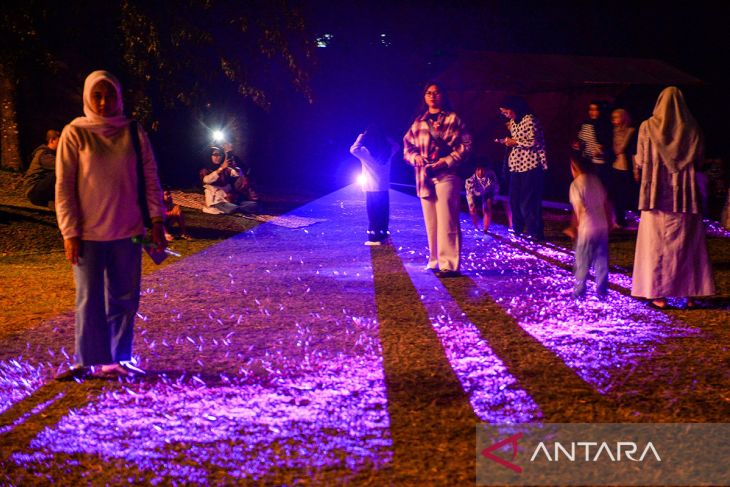 Pertunjukan video mapping Pohon Mendongeng