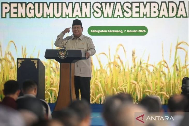 Strategi Indonesia menuju swasembada pangan berkelanjutan