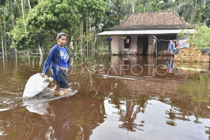 Banjir putus akses jalan darat di Jambi