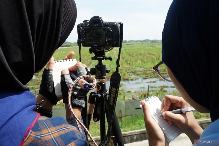 Pengamatan burung migran di Tulungagung