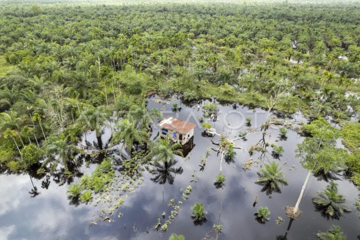 Banjir di Tanjung Jabung Timur