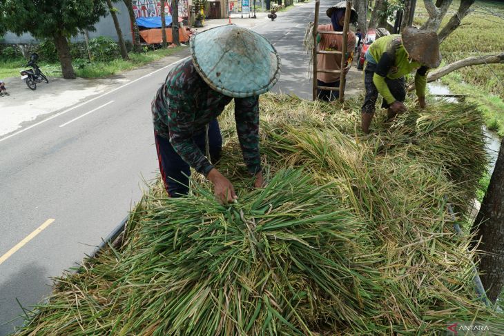 Target serapan gabah di jatim 2026