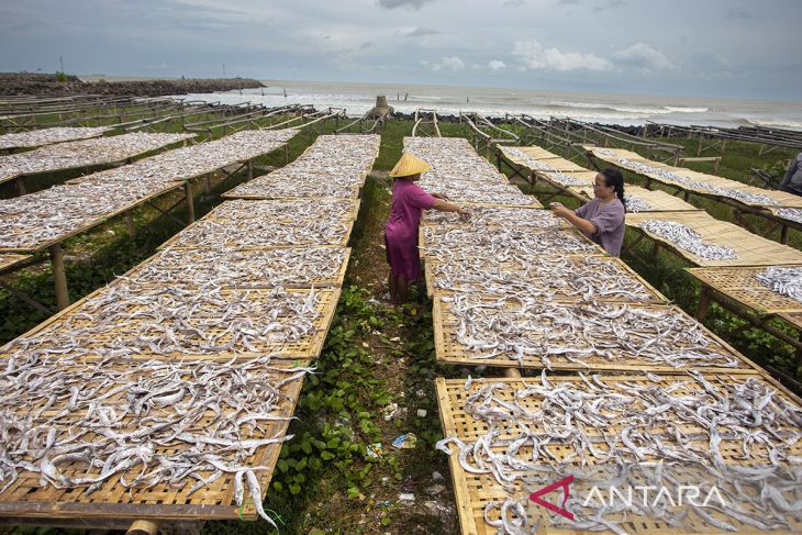 Produksi ikan kering terkendala cuaca