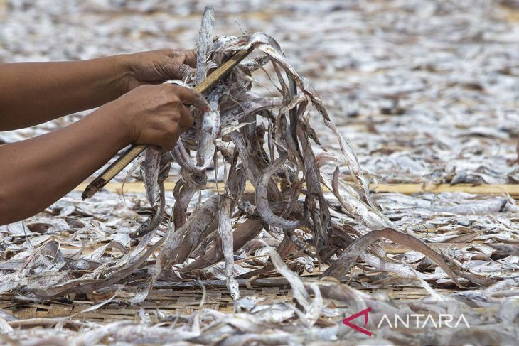 Produksi ikan kering terkendala cuaca