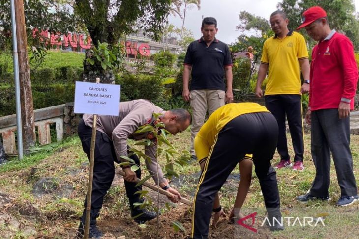 Polres Bangka Barat tanam pohon di puncak Menumbing