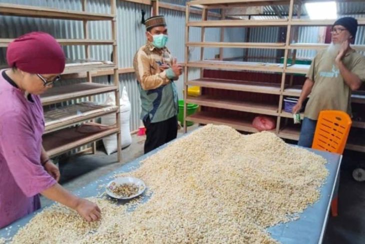 Penyuluh agama dorong UMKM di Simeulue urus sertifikat halal