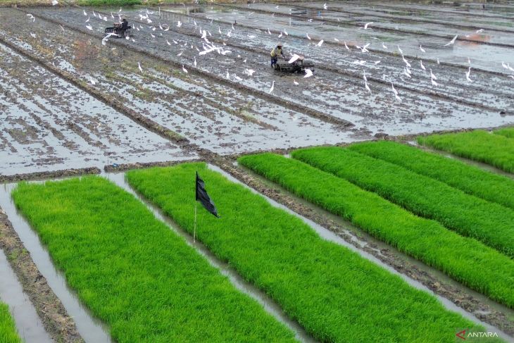 Perlindungan lahan sawah produktif