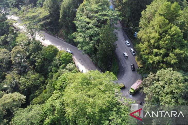 Primata unik di kawasan Tanjakan Sitinjau Lauik