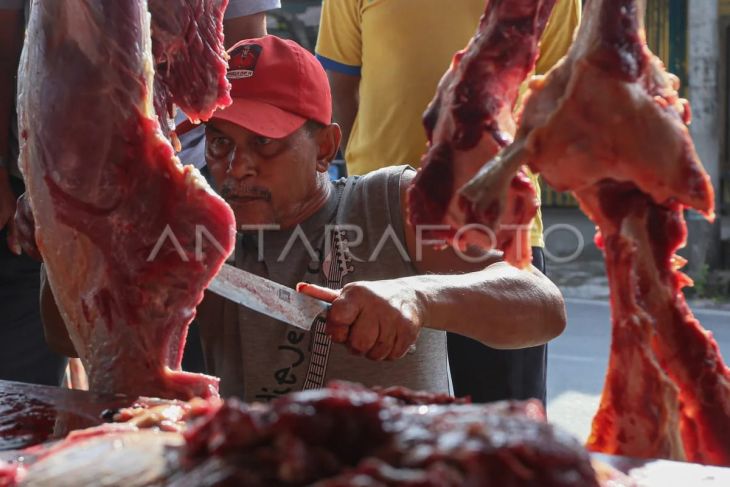 Presiden transfer dana sapi meugang untuk Aceh Rp72 miliar, ini daerah penerima