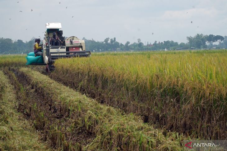 Jasa mesin pemanen padi di Tulungagung