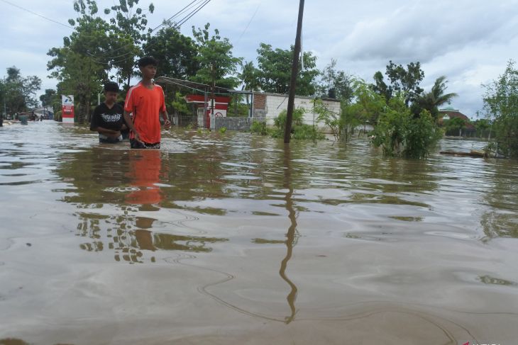 Banjir menerjang delapan kecamatan di Jember