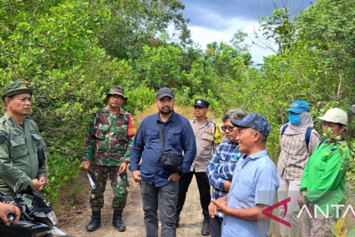 Kemenhut pulihkan lahan bekas tambang timah seluas 50 hektare