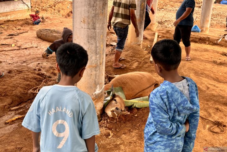 Menjaga lestari tradisi meugang pascabencana